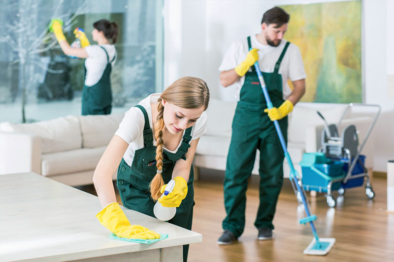 Sparkle The Cleaning Service 3
