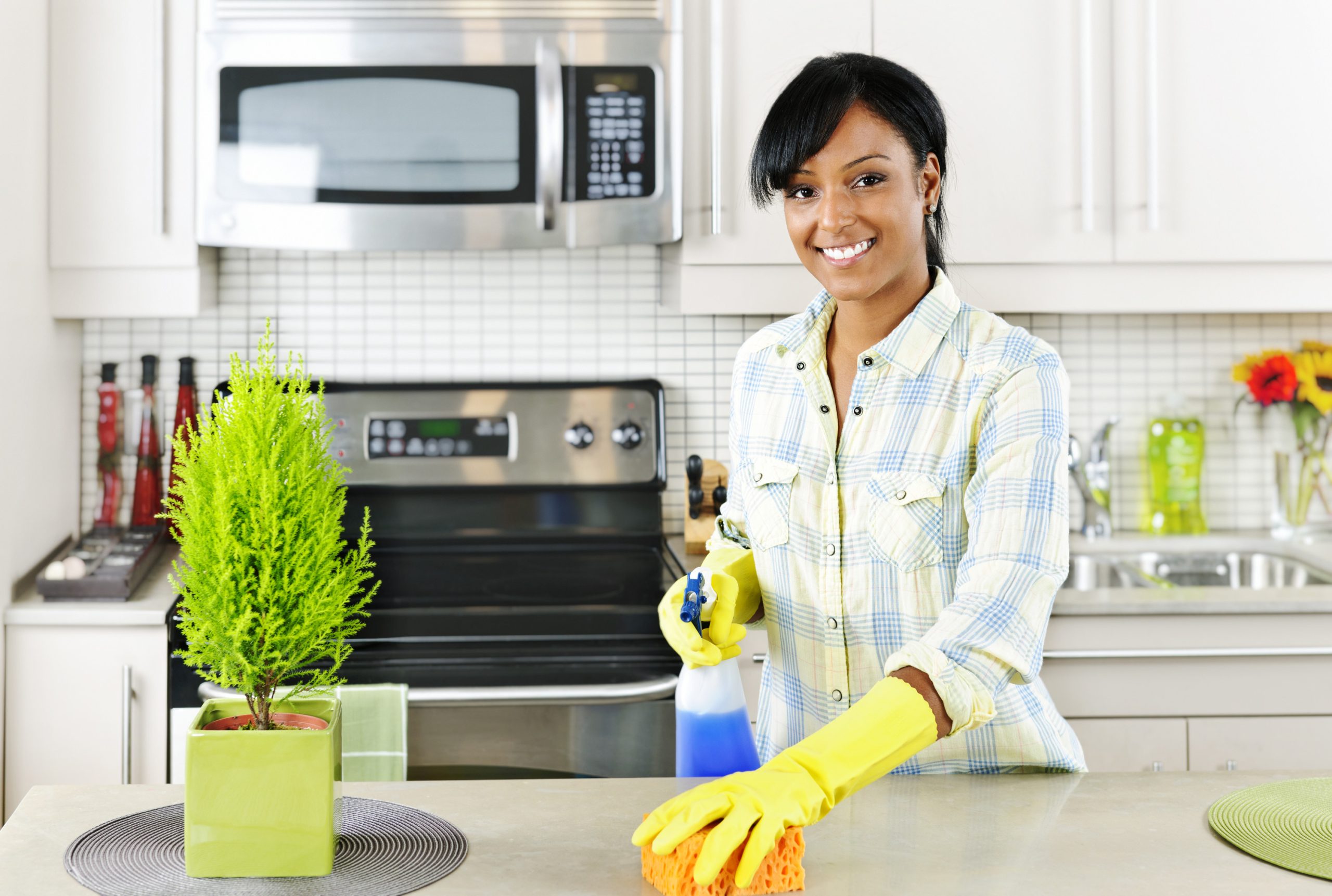 house and apartment cleaning services